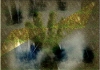 Minibild av trolsk skogsmylla