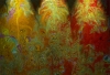 Minibild av frgberikade ljushuvuden